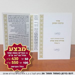 ברכון מתקפל דגם 26/19