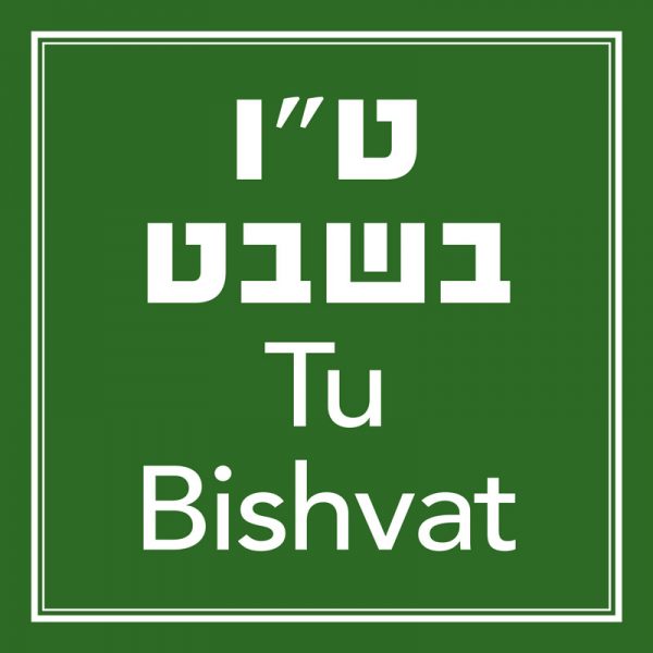 טו בשבט Tu Bishvat