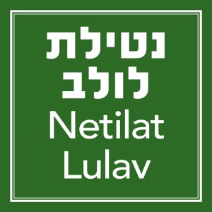 נטילת לולב