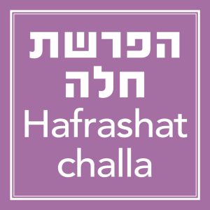 הפרשת חלה