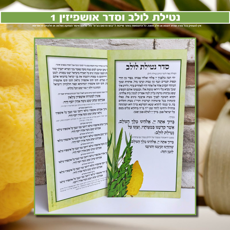 נטילת לולב ואושפיזין 1