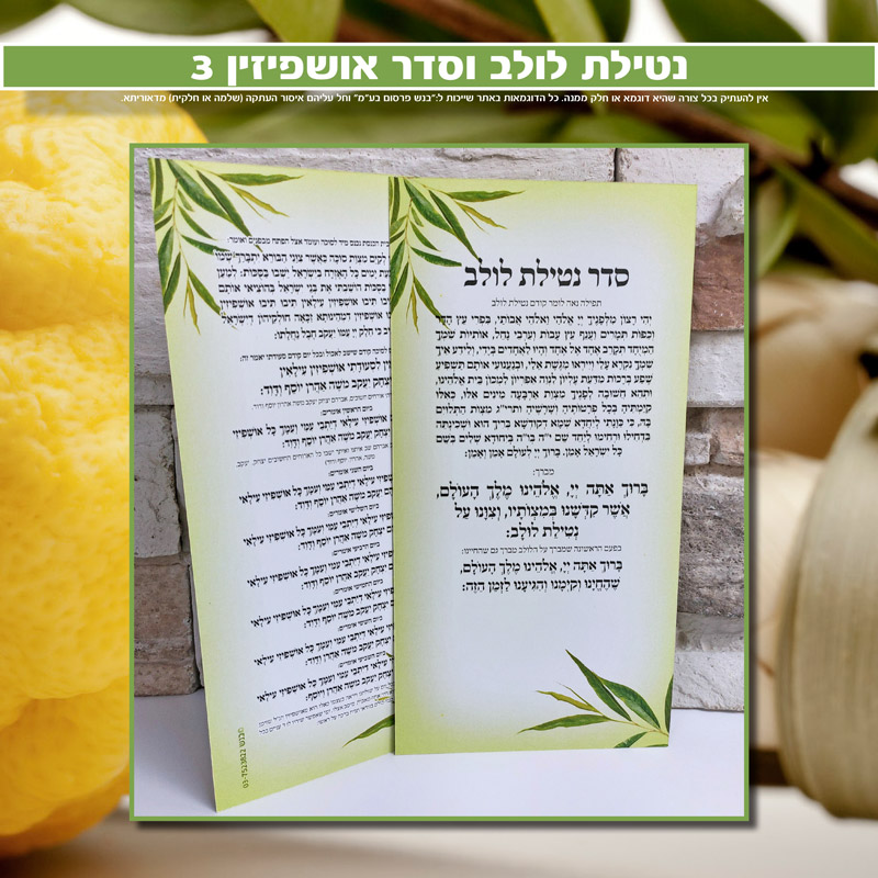 נטילת לולב ואושפיזין 3
