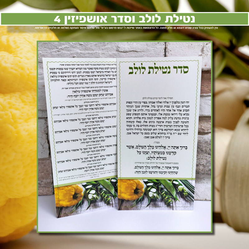 נטילת לולב ואושפיזין 4