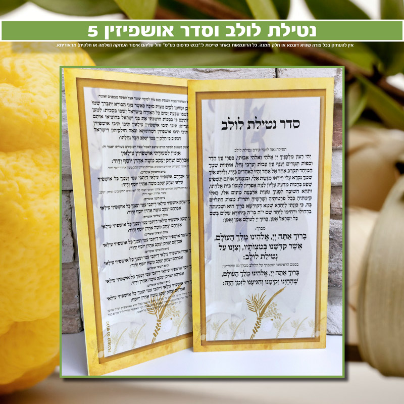 נטילת לולב ואושפיזין 5