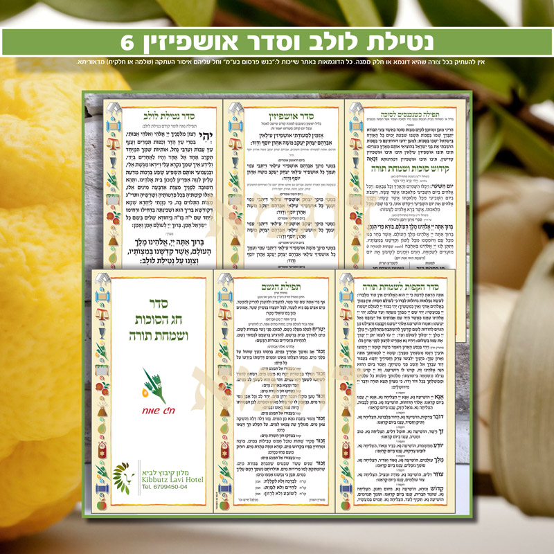נטילת לולב ואושפיזין 6