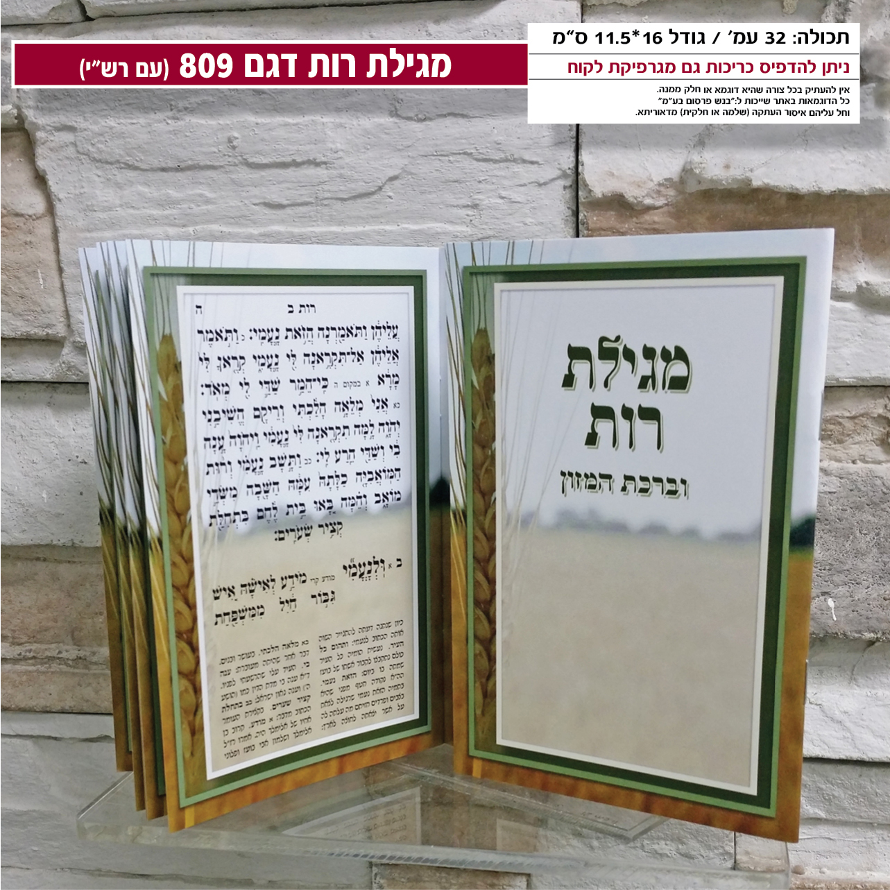 מגילת רות