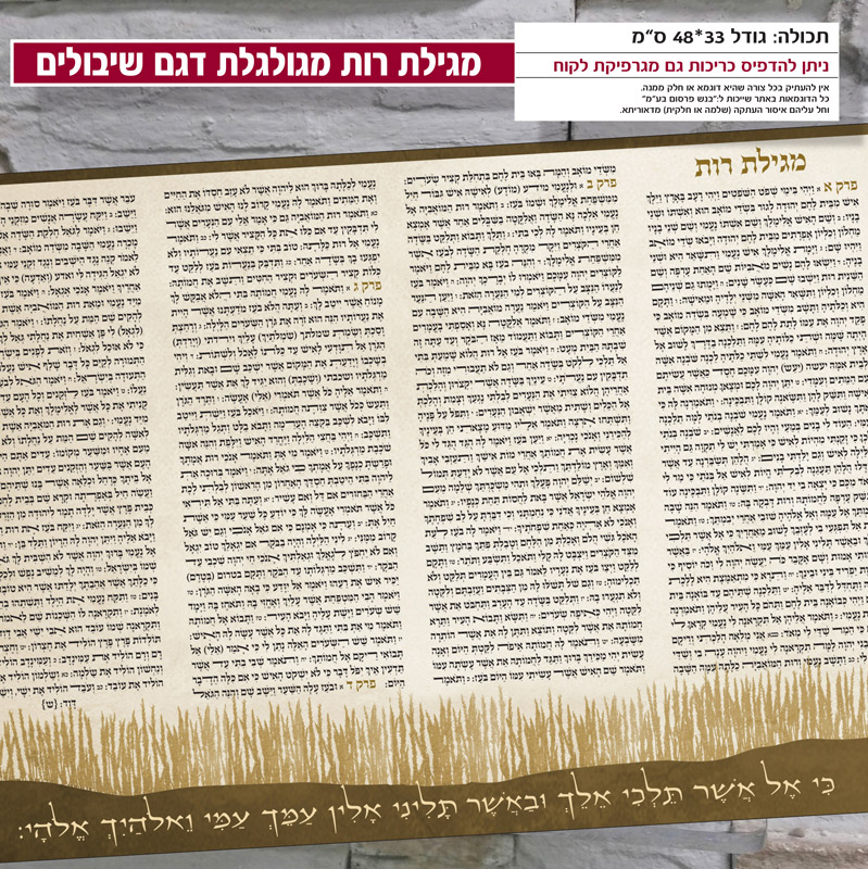 מגילת רות מגולגלת דגם שיבולים
